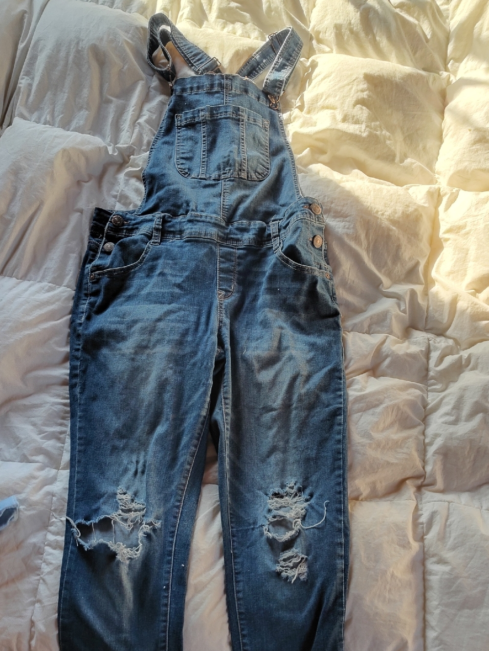 Wallflower Distressed Blue Denim Overalls